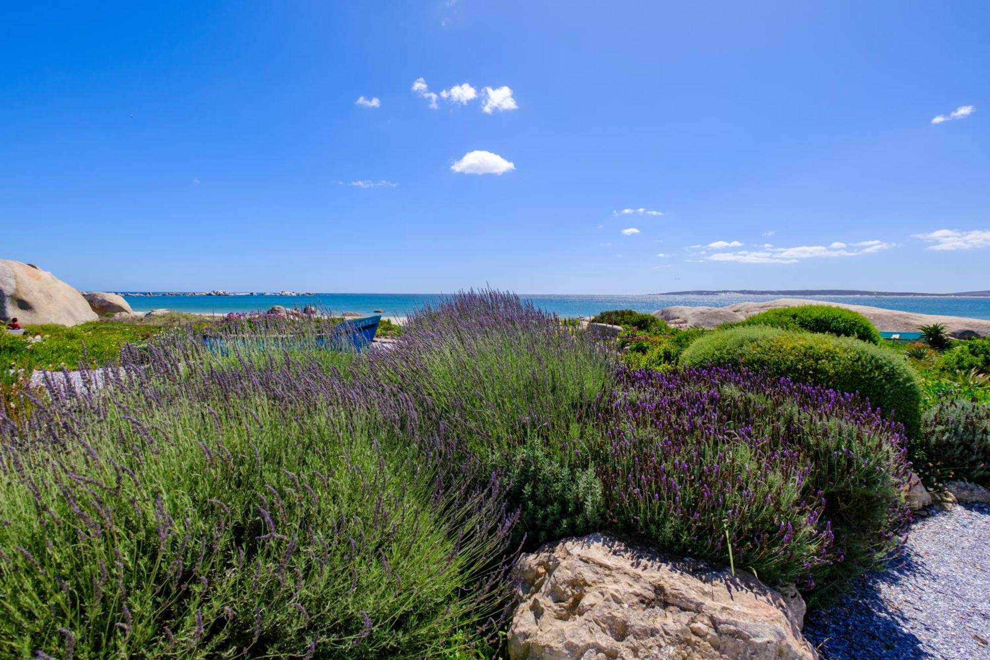 Dankbaar Holiday Home Paternoster Exteriér fotografie